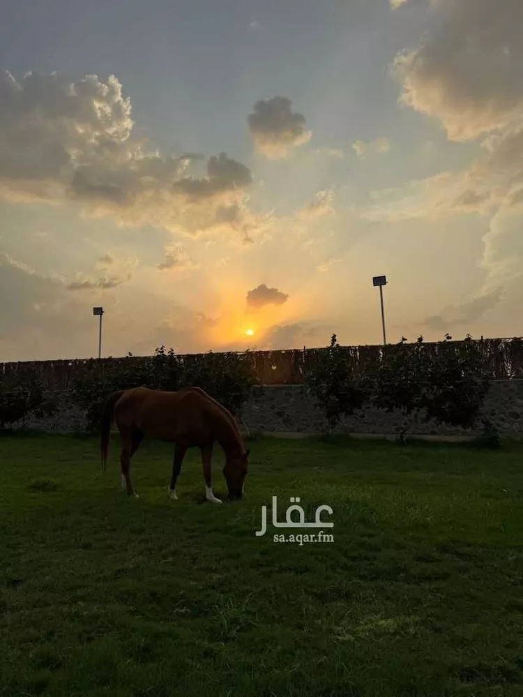 مزرعة للإيجار في جدة ، الجموم صورة 2