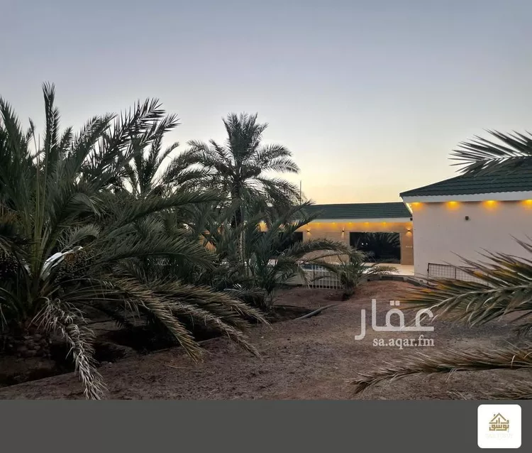 مزرعة للبيع في شارع صالح بن محمد الحسني, حي الغابة, مدينة المدينة المنورة, منطقة المدينة المنورة صورة 3