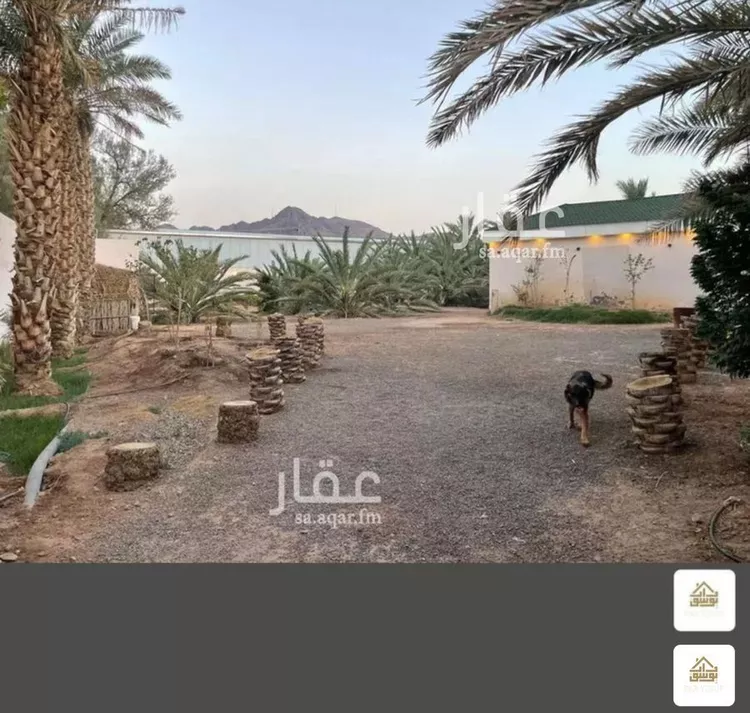 Farm for Sale in Medina Al Ghabah صورة 2