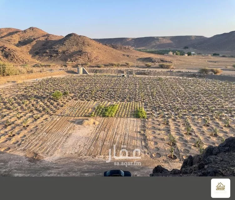 Farm for Sale in Medina Al Matar