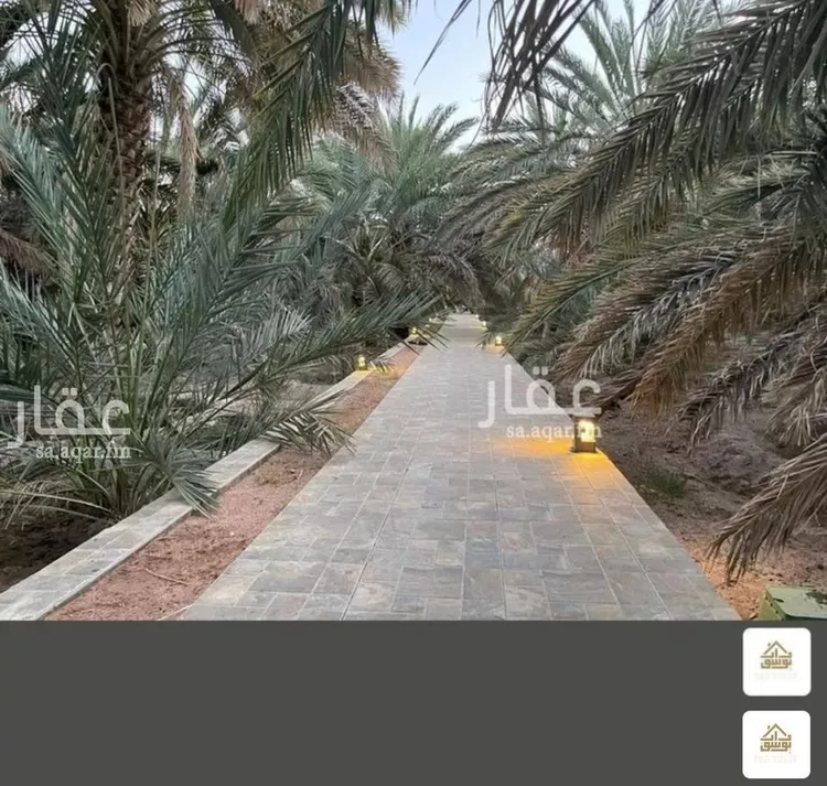 Farm for Sale in Medina Al Ghabah