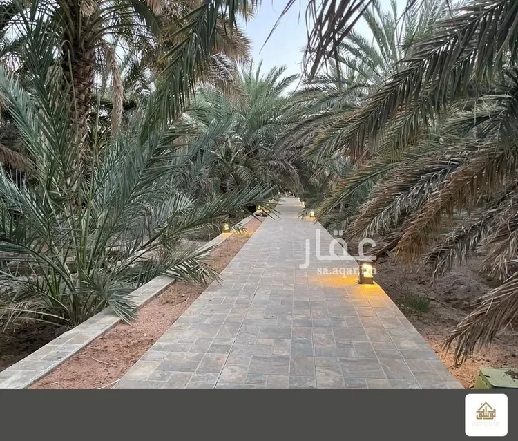Farm for Sale in Medina Al Ghabah