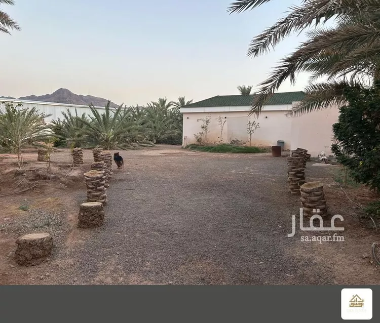 مزرعة للبيع في شارع صالح بن محمد الحسني, حي الغابة, مدينة المدينة المنورة, منطقة المدينة المنورة صورة 5