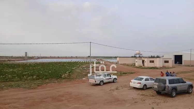 مزرعة للبيع في عيون الجواء ، عيون الجواء