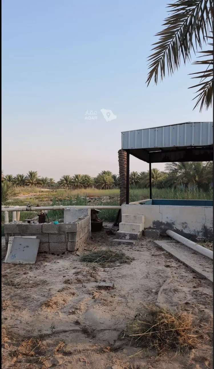 مزرعة للبيع في مدينة القطيف, المنطقة الشرقية 2
