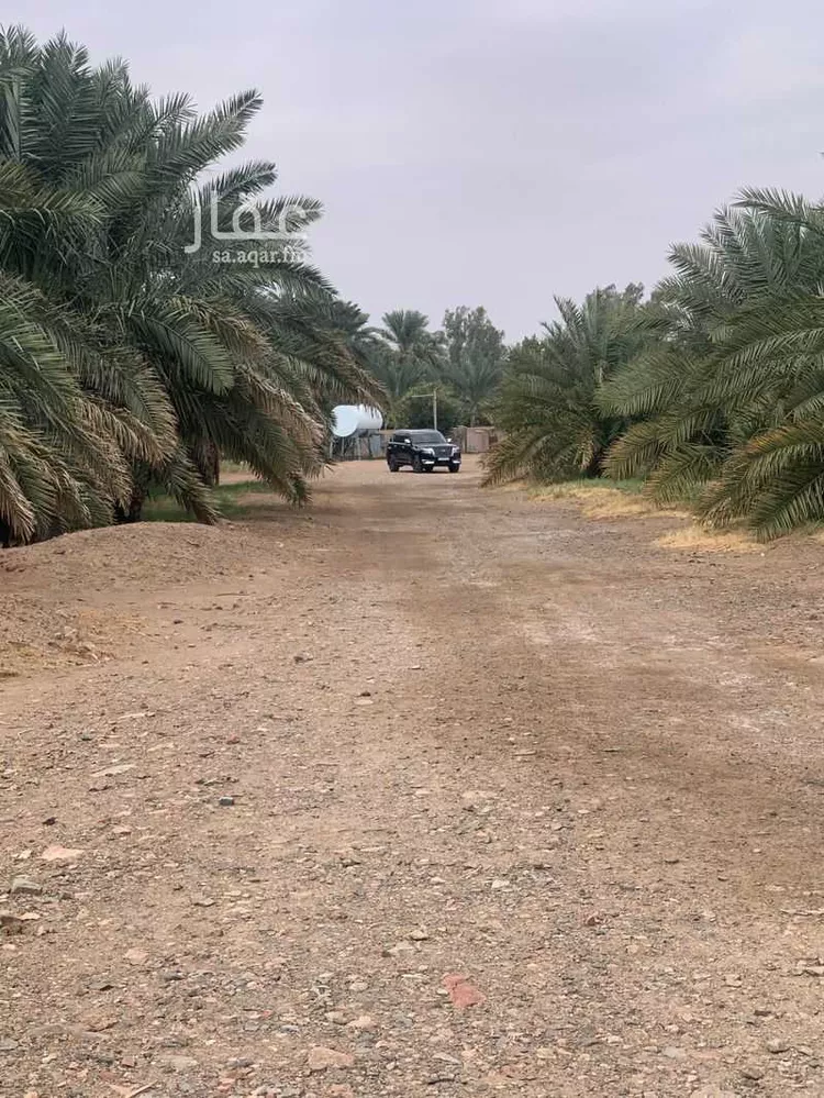 مزرعة للبيع في شارع خالد بن الوليد رضي الله عنه ، حي المندسة ، المدينة المنورة ، منطقة المدينة المنورة