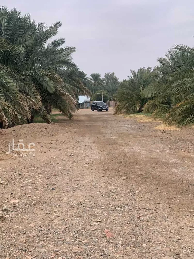 مزرعة للبيع في شارع خالد بن الوليد رضي الله عنه ، حي المندسة ، المدينة المنورة ، منطقة المدينة المنورة