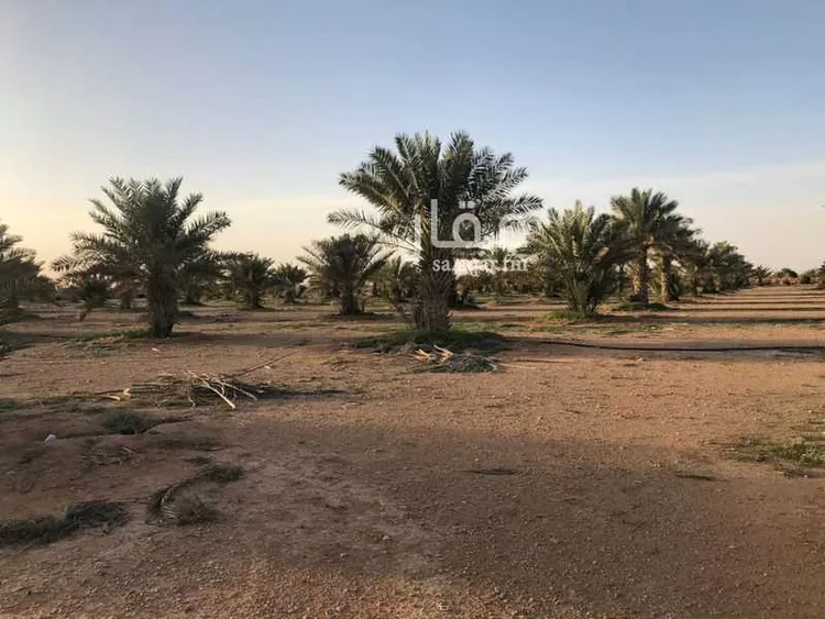 مزرعة للبيع في شارع الرياض - المدينة المنورة ، جوي ، المجمعة صورة 3