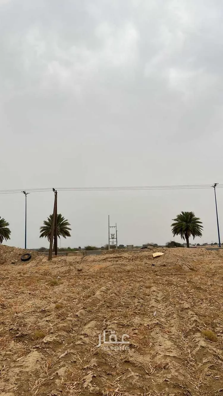 أرض للإيجار في شارع شارع بيش صبيا العام , حي ابو القعايد, مدينة ابو القعايد, منطقة جازان صورة 5