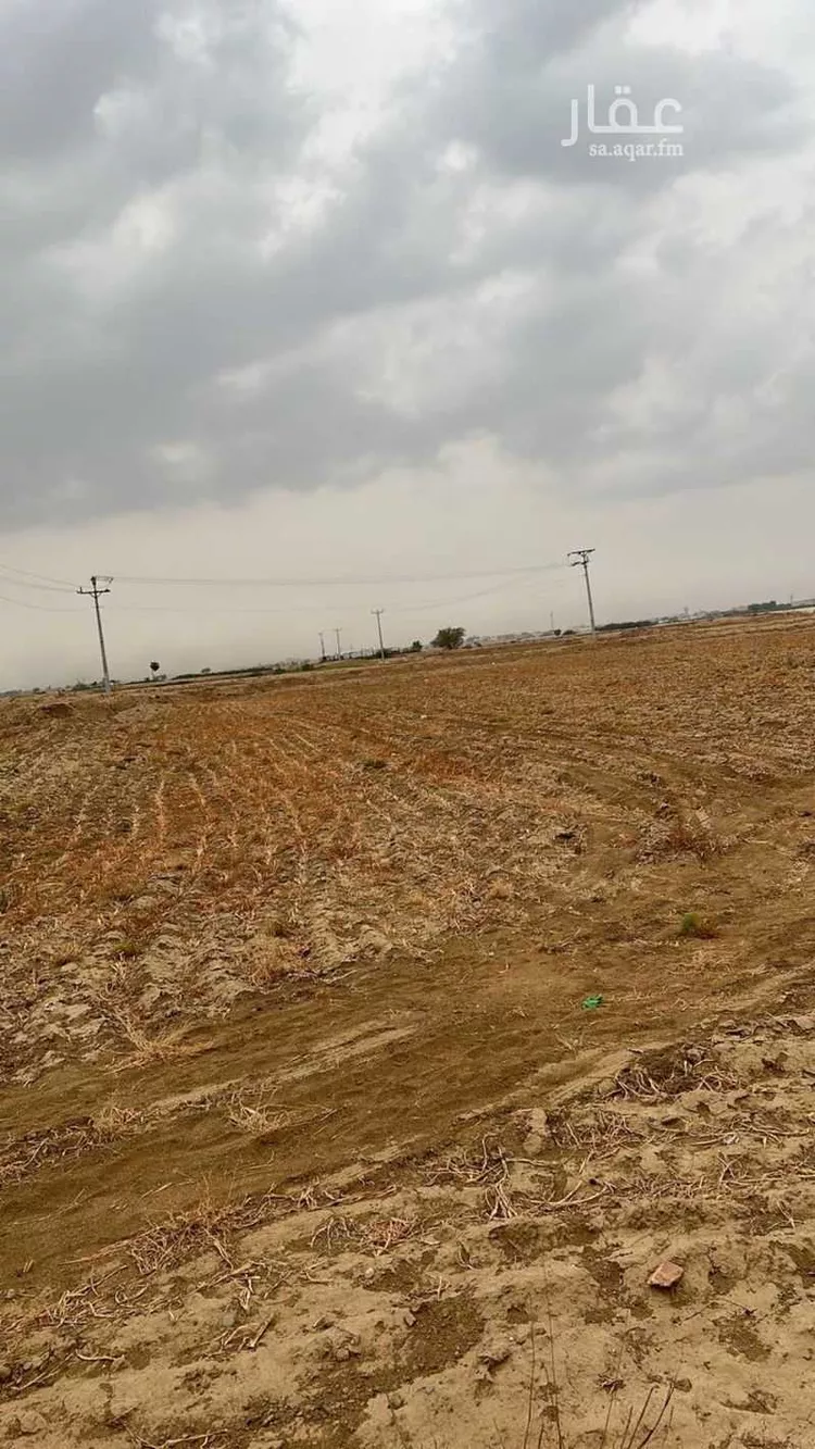 أرض للإيجار في شارع شارع بيش صبيا العام , حي ابو القعايد, مدينة ابو القعايد, منطقة جازان صورة 3