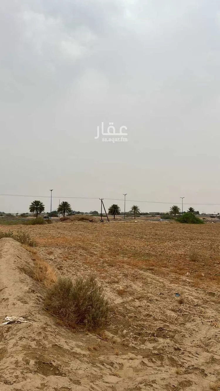 أرض للإيجار في شارع شارع بيش صبيا العام , حي ابو القعايد, مدينة ابو القعايد, منطقة جازان صورة 4