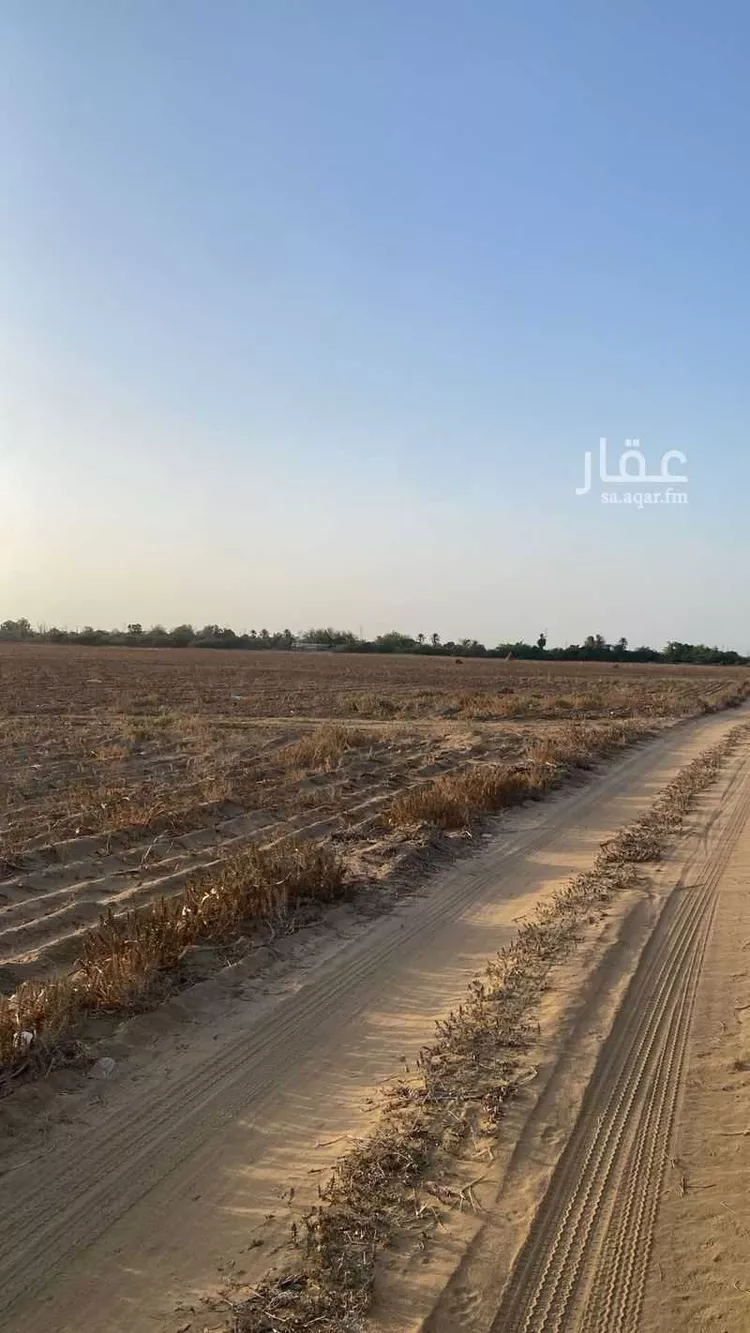 أرض للبيع في شارع السادليه الغربيه ومزارعها 918 ، حي السادلية ، أبو عريش ، ابو عريش صورة 2