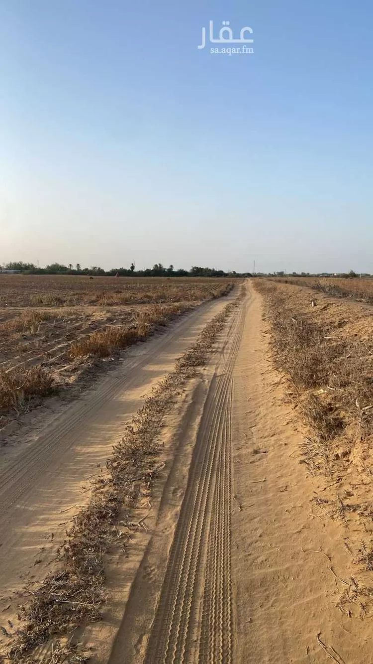 أرض للبيع في شارع السادليه الغربيه ومزارعها 918 ، حي السادلية ، أبو عريش ، ابو عريش صورة 3