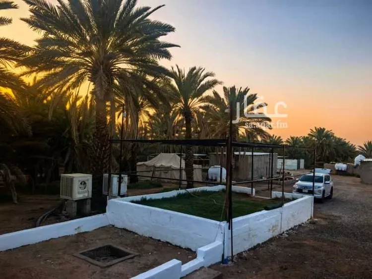 Farm for Sale in Medina Al Balqaa صورة 5