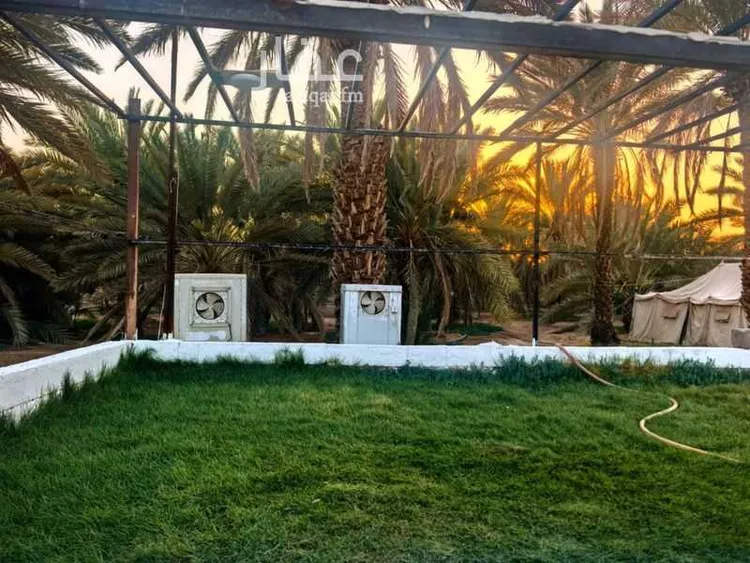 مزرعة للبيع في شارع المندسة 1049, حي المندسة, مدينة المدينة المنورة, منطقة المدينة المنورة 6