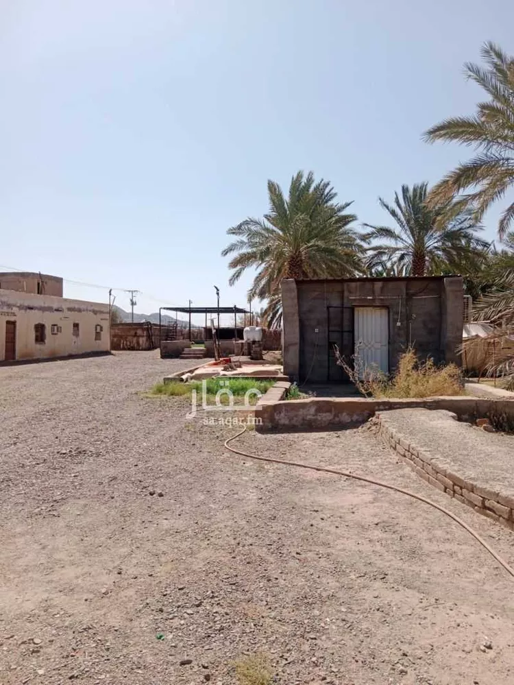 أرض للإيجار في حي المندسة, مدينة المدينة المنورة, منطقة المدينة المنورة صورة 4