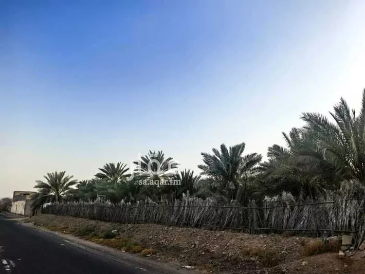 Farm for Sale in Medina Al Balqaa صورة 3