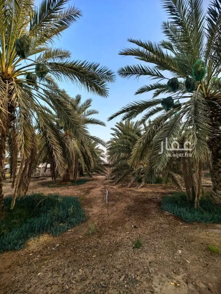 Farm for Sale in Medina Al Balqaa صورة 4