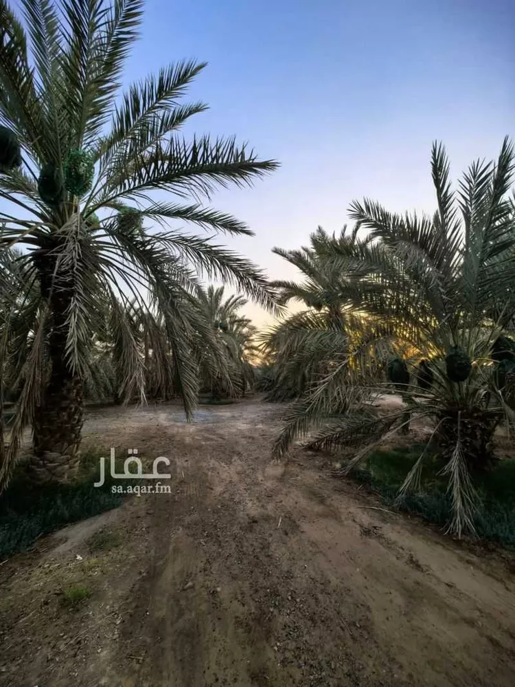 Farm for Sale in Medina Al Balqaa