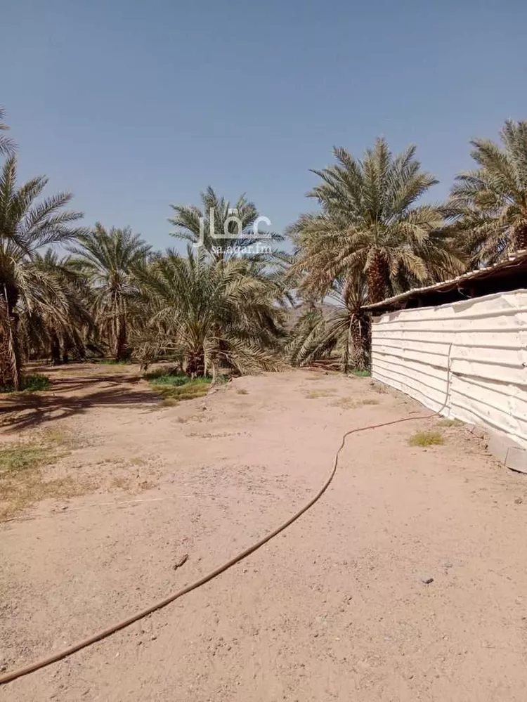 أرض للإيجار في حي المندسة, مدينة المدينة المنورة, منطقة المدينة المنورة صورة 2