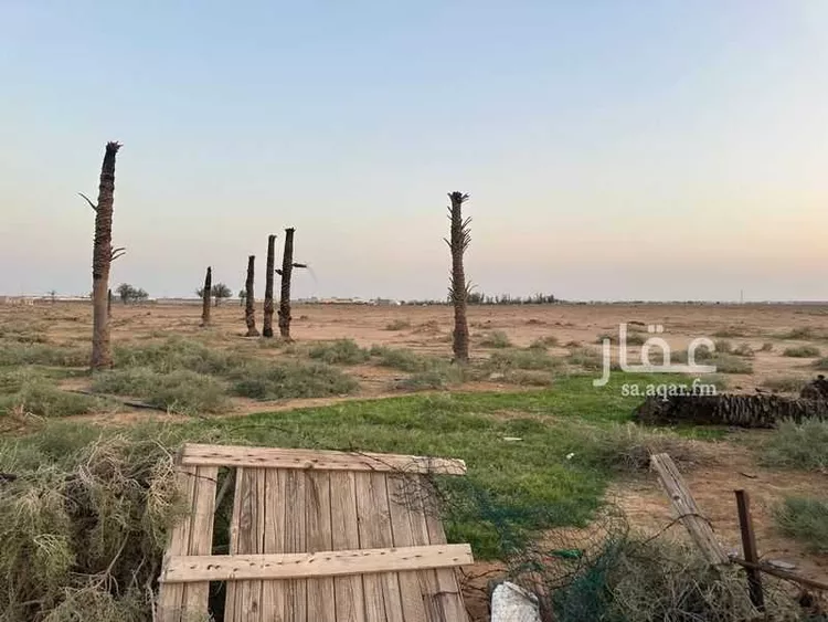 مزرعة للبيع في حي القرين, مدينة القرين, منطقة القصيم صورة 4