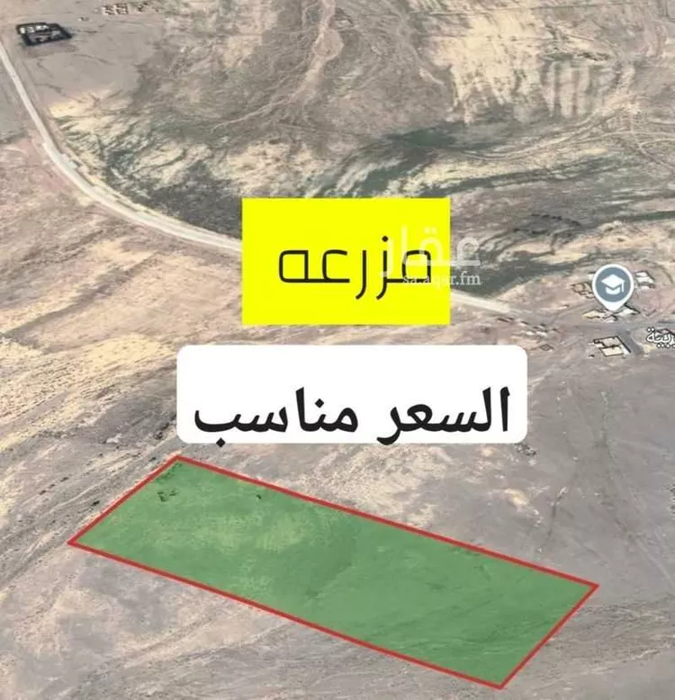 مزرعة للبيع في حي العموده الشماليه والجنوبيه, مدينة العموده الشماليه والجنوبيه, منطقة القصيم