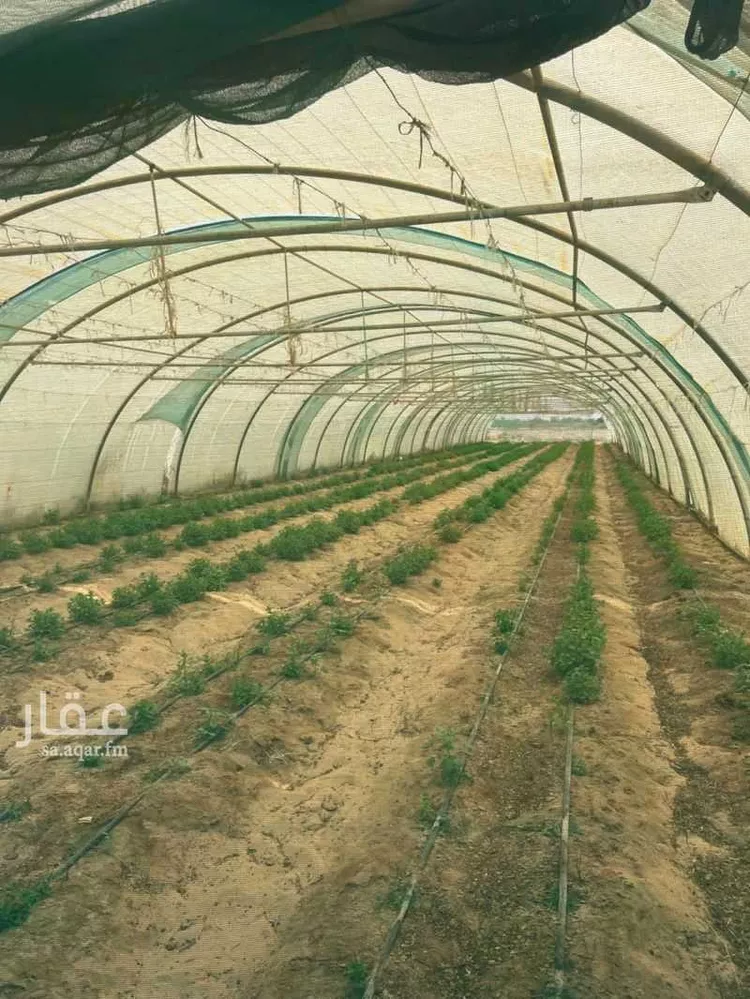 أرض للبيع في حي الخزامى, مدينة الجبيل, المنطقة الشرقية صورة 4