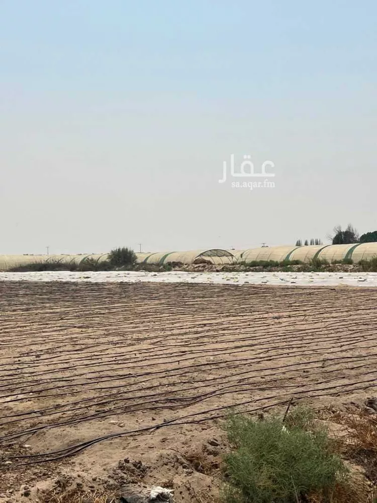 أرض للبيع في حي الخزامى, مدينة الجبيل, المنطقة الشرقية صورة 3
