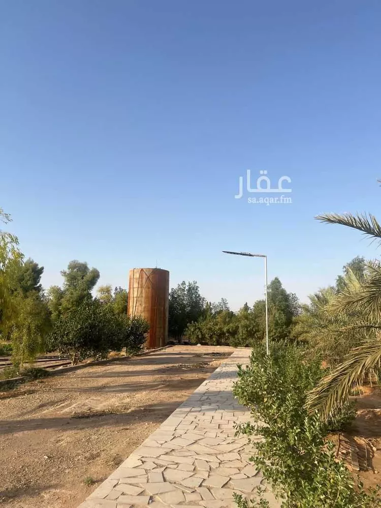 أرض للبيع في شارع شارع, حي مزارع قصور النقعه, مدينة مزارع قصور النقعه, منطقة الرياض صورة 5