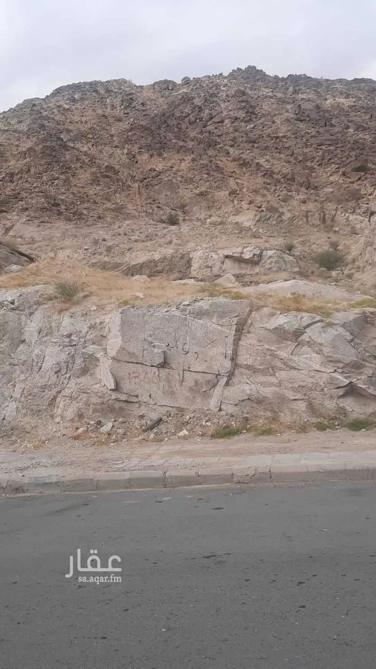 أرض للبيع في شارع عائذ ابن ثعلبة, حي النسيم, مدينة مكة المكرمة, منطقة مكة المكرمة صورة 3