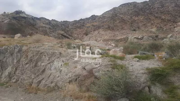 أرض للبيع في شارع عائذ ابن ثعلبة, حي النسيم, مدينة مكة المكرمة, منطقة مكة المكرمة صورة 5