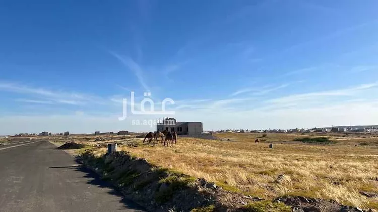 أرض للبيع في شارع 5519617, حي الصفوة, مدينة جدة, منطقة مكة المكرمة