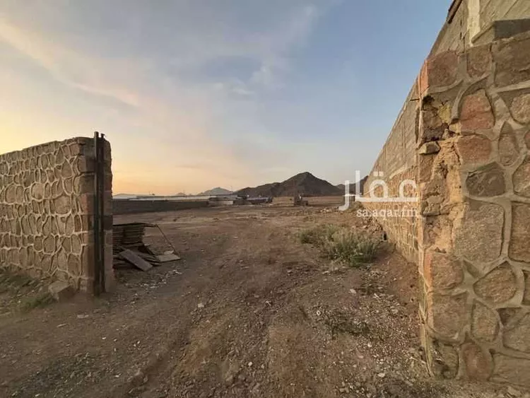 أرض للبيع في شارع عباد بن ابى صالح, حي الغابة, مدينة المدينة المنورة, منطقة المدينة المنورة صورة 3