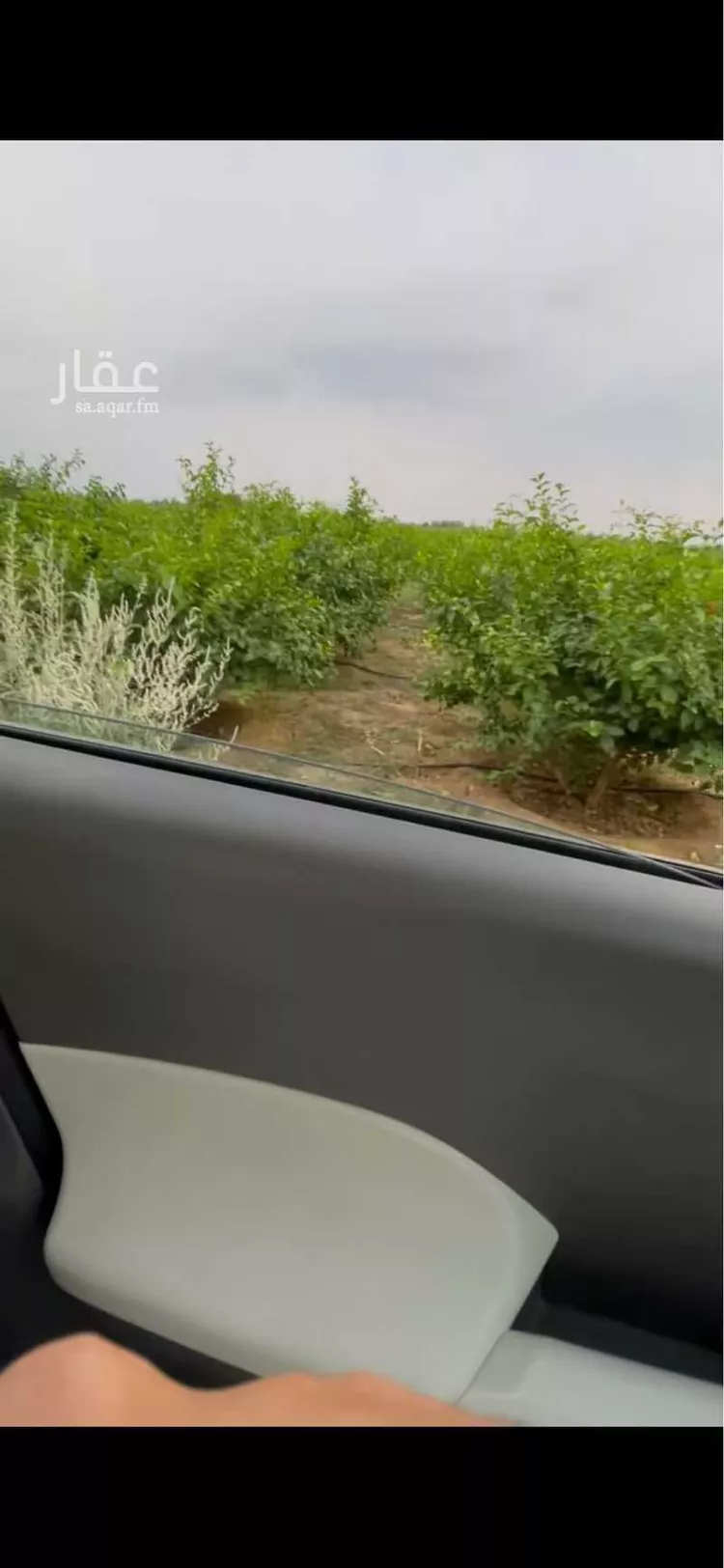 أرض للإيجار في شارع الظبيه 2149 ، صبيا ، صبيا صورة 3
