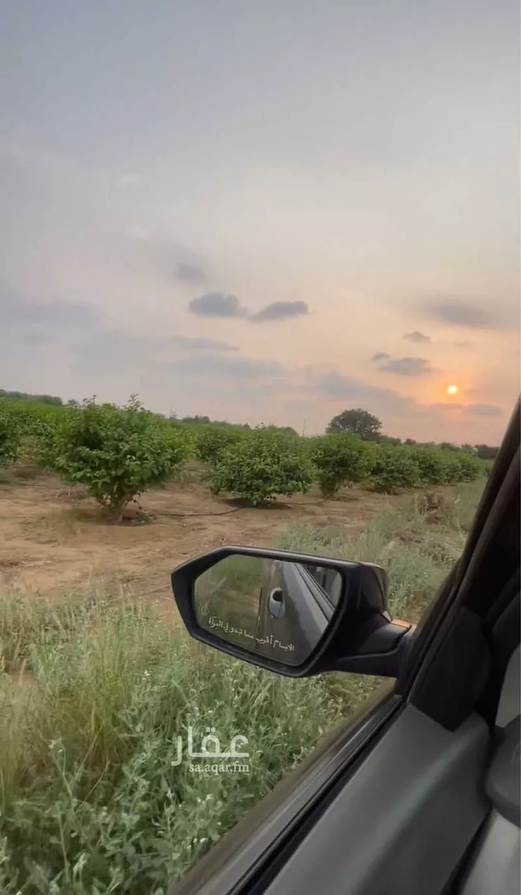 أرض للإيجار في شارع الظبيه 2149 ، صبيا ، صبيا