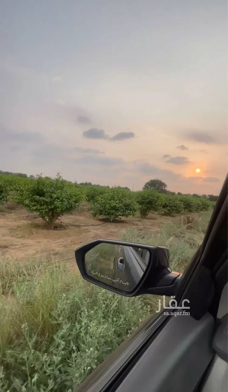 Farm for Sale in Sabya Al Zabiyah