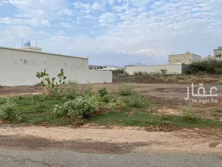 Land for Sale in Muhayil Al Janadriyah صورة 3