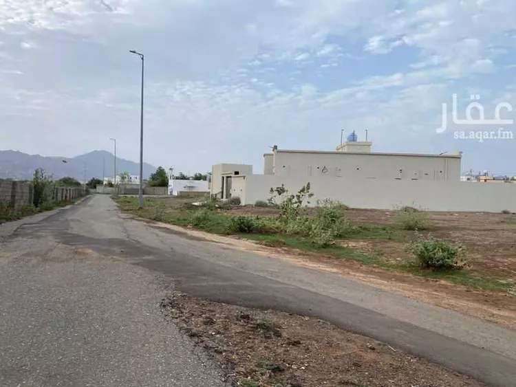 Land for Sale in Muhayil Al Janadriyah صورة 4