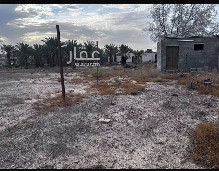 استراحة للإيجار في حي وادي البطان, مدينة المدينة المنورة, منطقة المدينة المنورة صورة 5