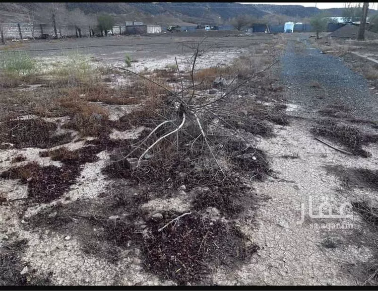 استراحة للإيجار في حي وادي البطان, مدينة المدينة المنورة, منطقة المدينة المنورة صورة 2