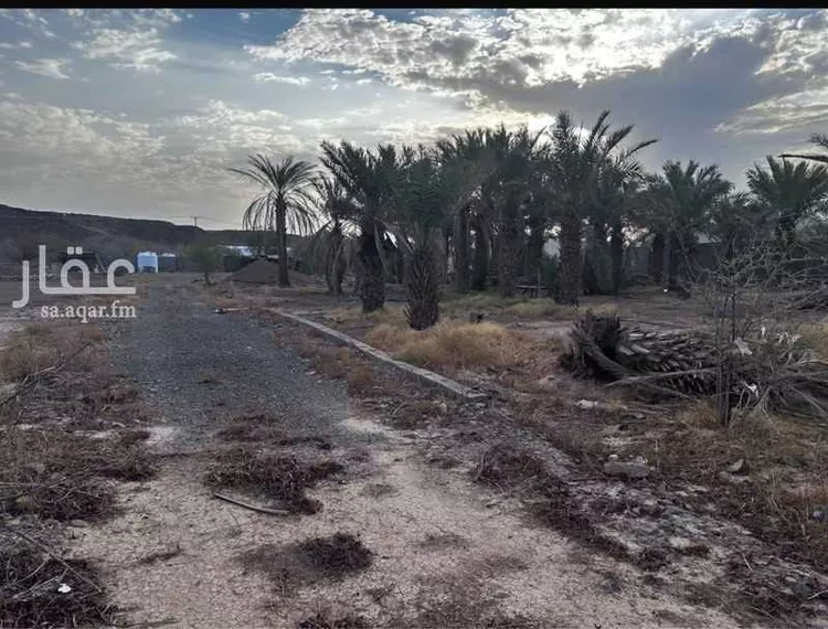 استراحة للإيجار في حي وادي البطان, مدينة المدينة المنورة, منطقة المدينة المنورة