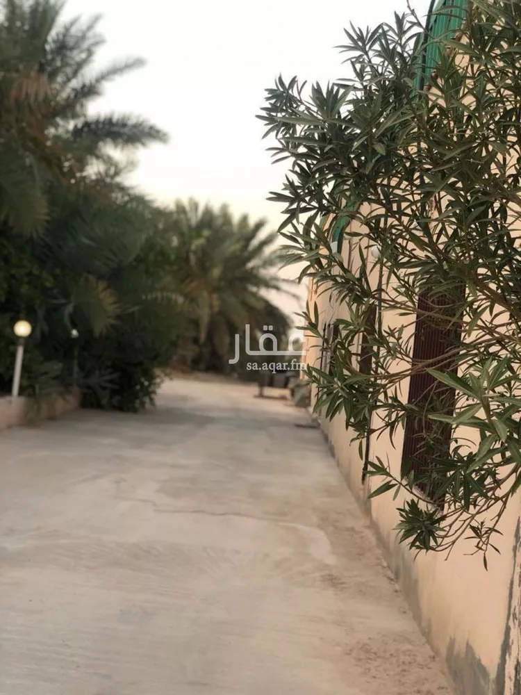 مزرعة للبيع في مدينة الاحساء, المنطقة الشرقية صورة 2