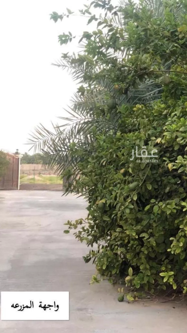 Farm for Sale in Al Hofuf Al Matrify 12