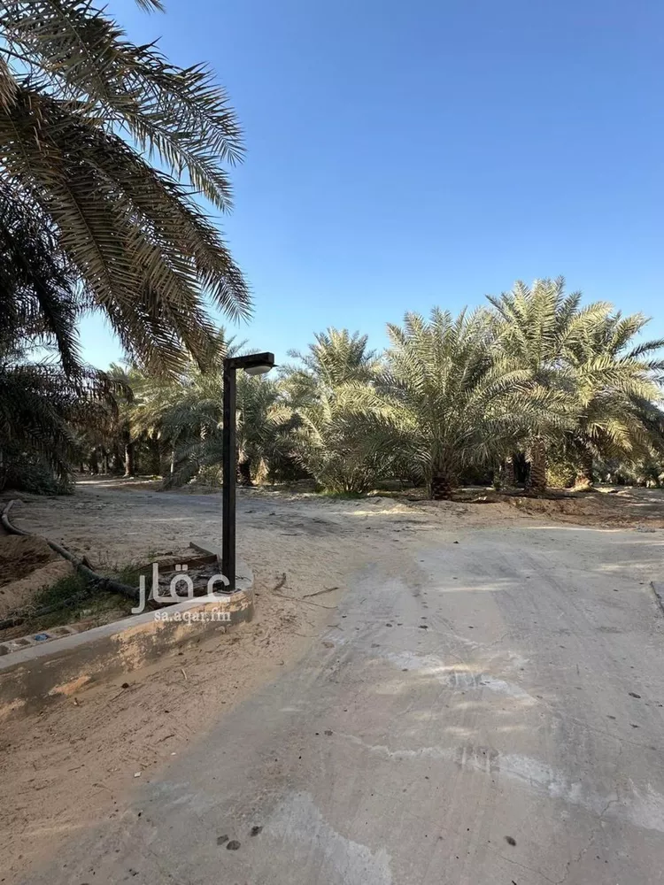 Farm for Sale in Al Hofuf Al Matrify 6