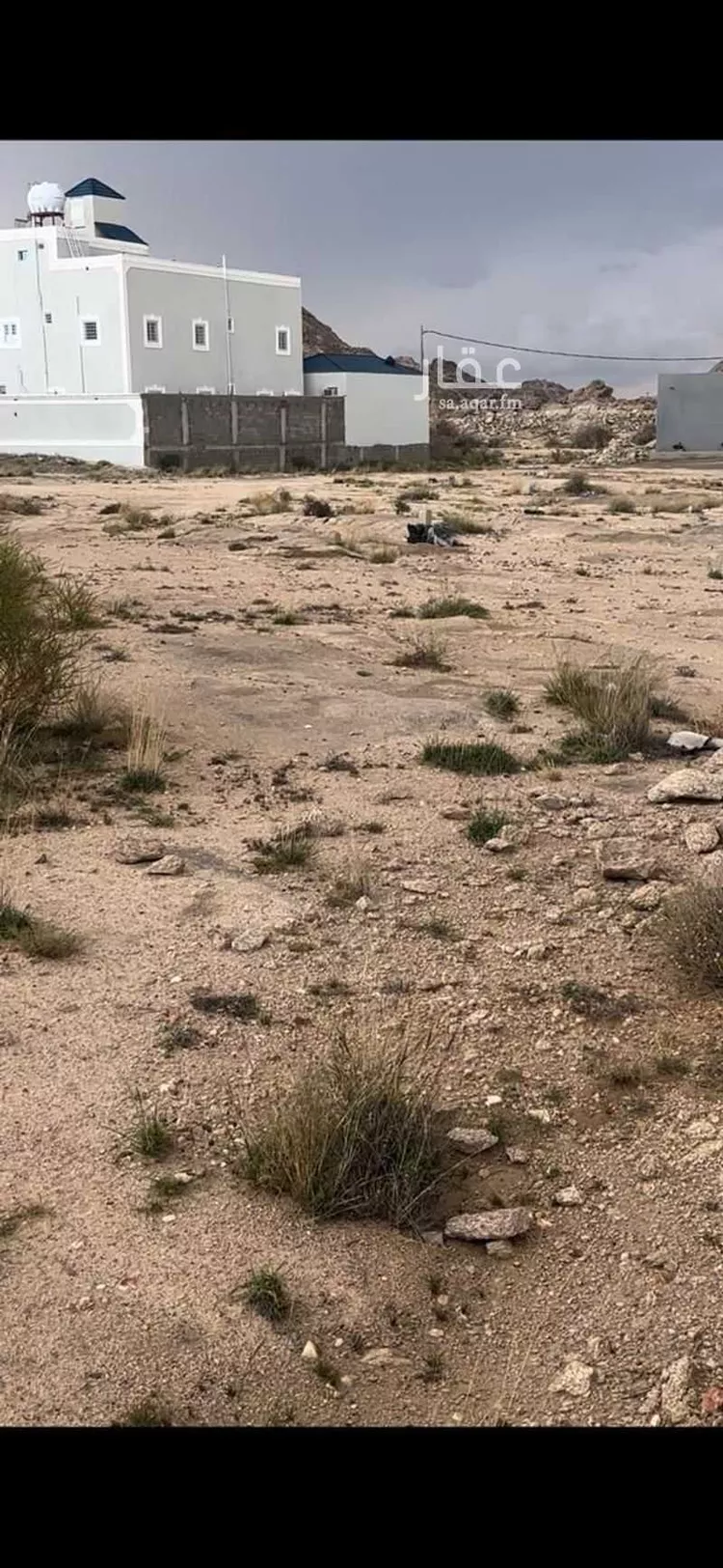 أرض للبيع في شارع حمزة ابن الحمير ، حي الربوة ، خميس مشيط ، خميس مشيط صورة 3