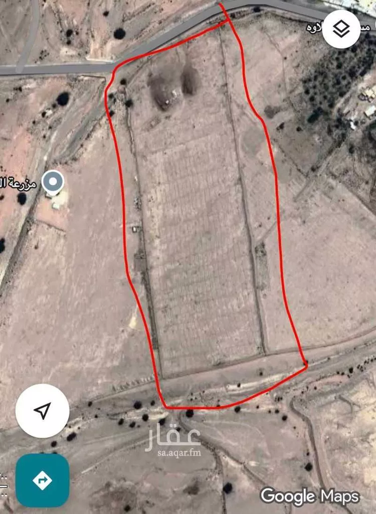 مزرعة للبيع في شارع ابراهيم الصديقي ، مرات ، مرات