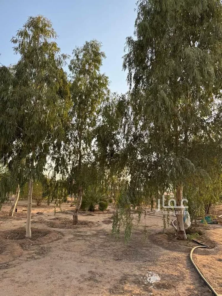 مزرعة للبيع في حي مزارع المغيدر, مدينة المجمعة, منطقة الرياض صورة 5