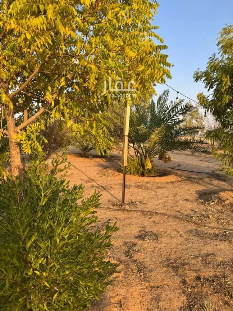 مزرعة للبيع في حي مزارع المغيدر, مدينة المجمعة, منطقة الرياض 9