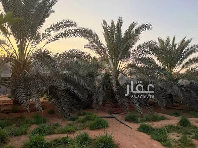 استراحة للبيع في شارع الحارث بن عمير الازدي, حي وسيلة, مدينة المزاحمية, منطقة الرياض 6