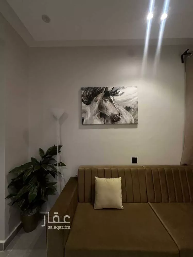 استديو مفروش للحجز في شارع محمد علي جناح, اليرموك, الرياض صورة 2